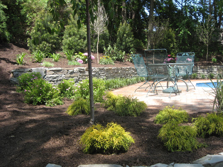 LANDSCAPE POOL DESIGNS LONG ISLAND NY POOL PLANTING DESIGN LONG